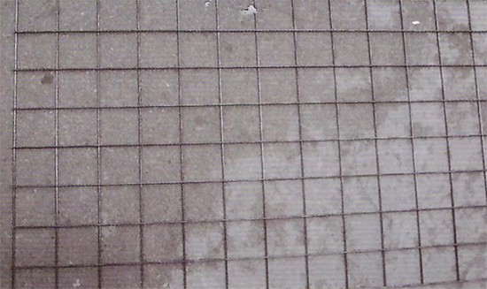 䓽�ӷ��ѾW(w��ng)